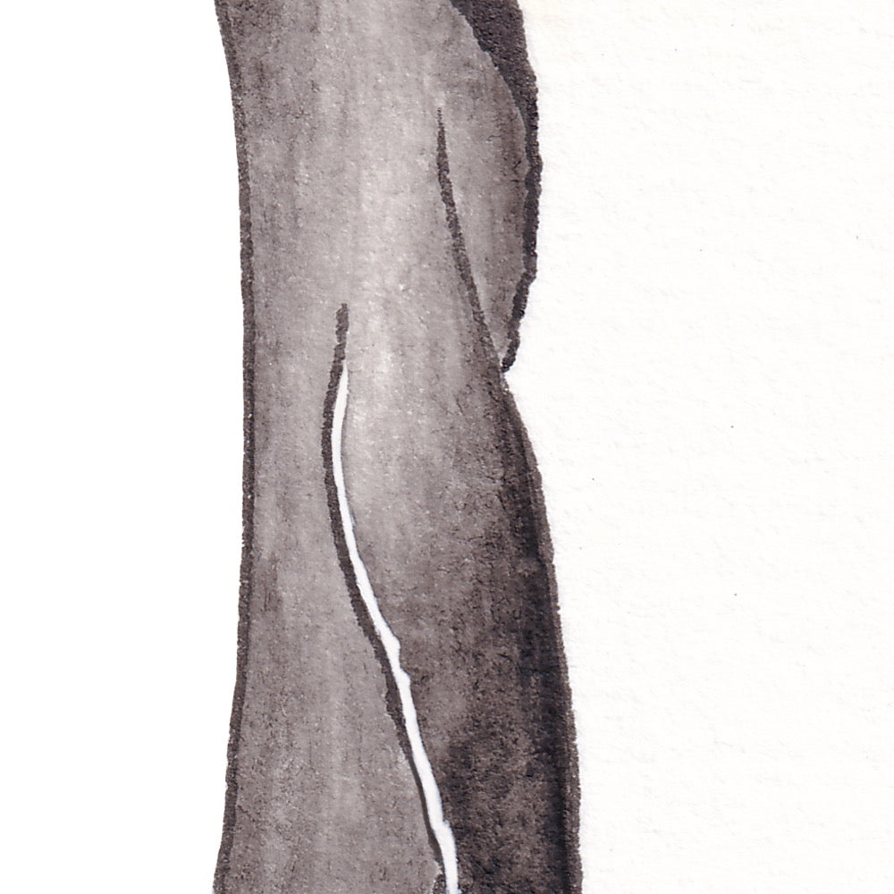 Arwil Art and Design watercolour illustration of a emperor penguin, with gentle shading and fine line details - cropped to show detail