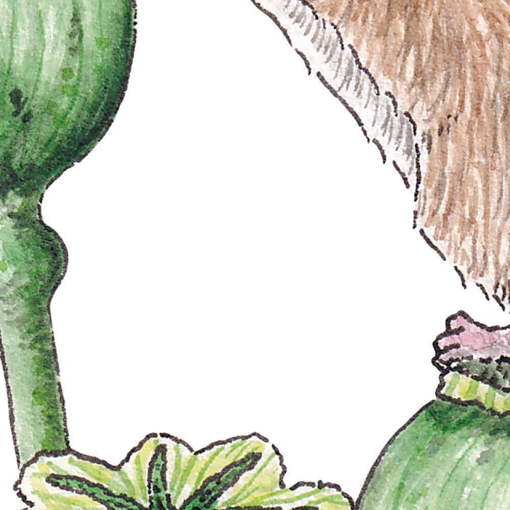 Arwil Art and Design watercolour illustration of a field mouse, with gentle shading and fine line details - cropped to show detail