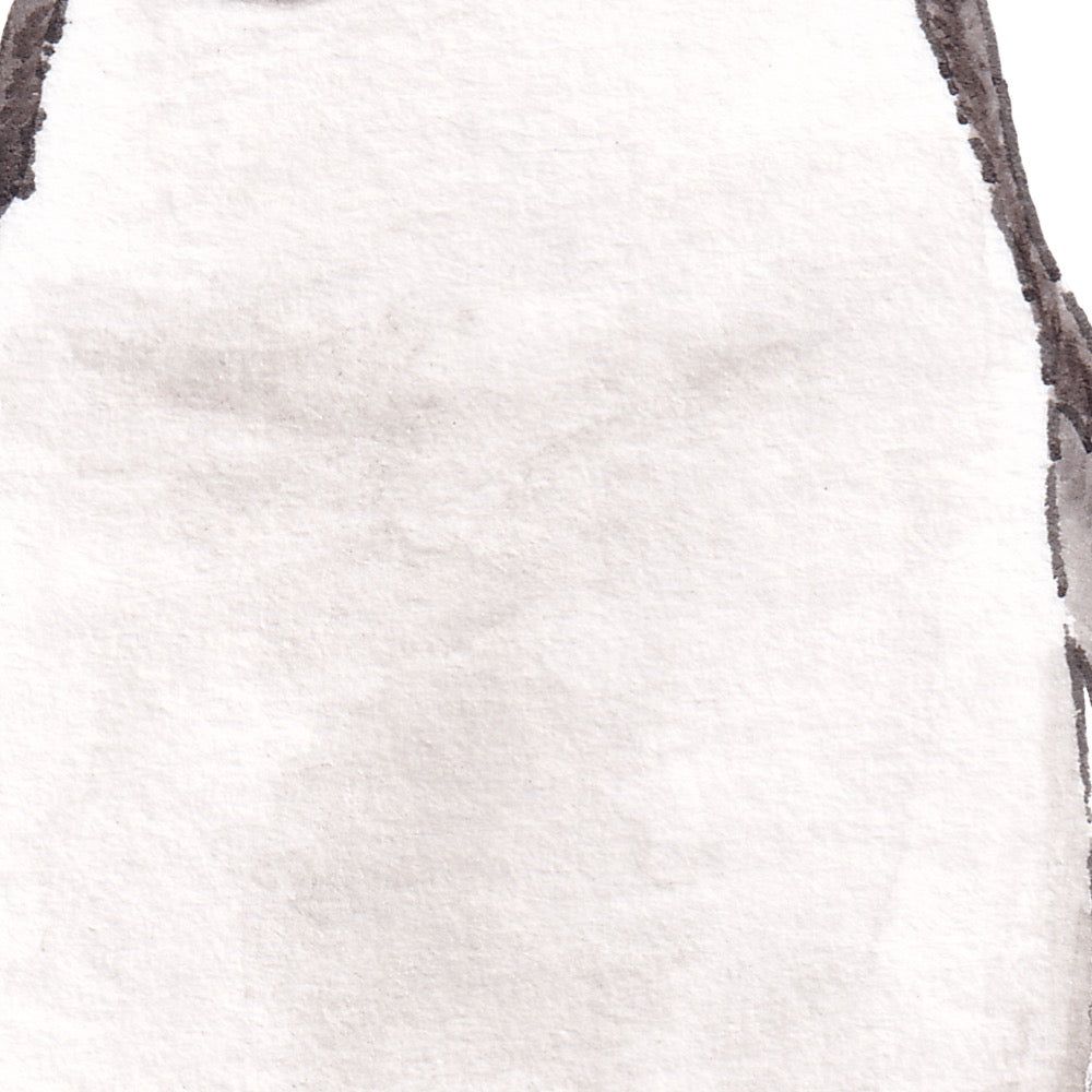 Arwil Art and Design watercolour illustration of a fiordland penguin, with gentle shading and fine line details - cropped to show detail