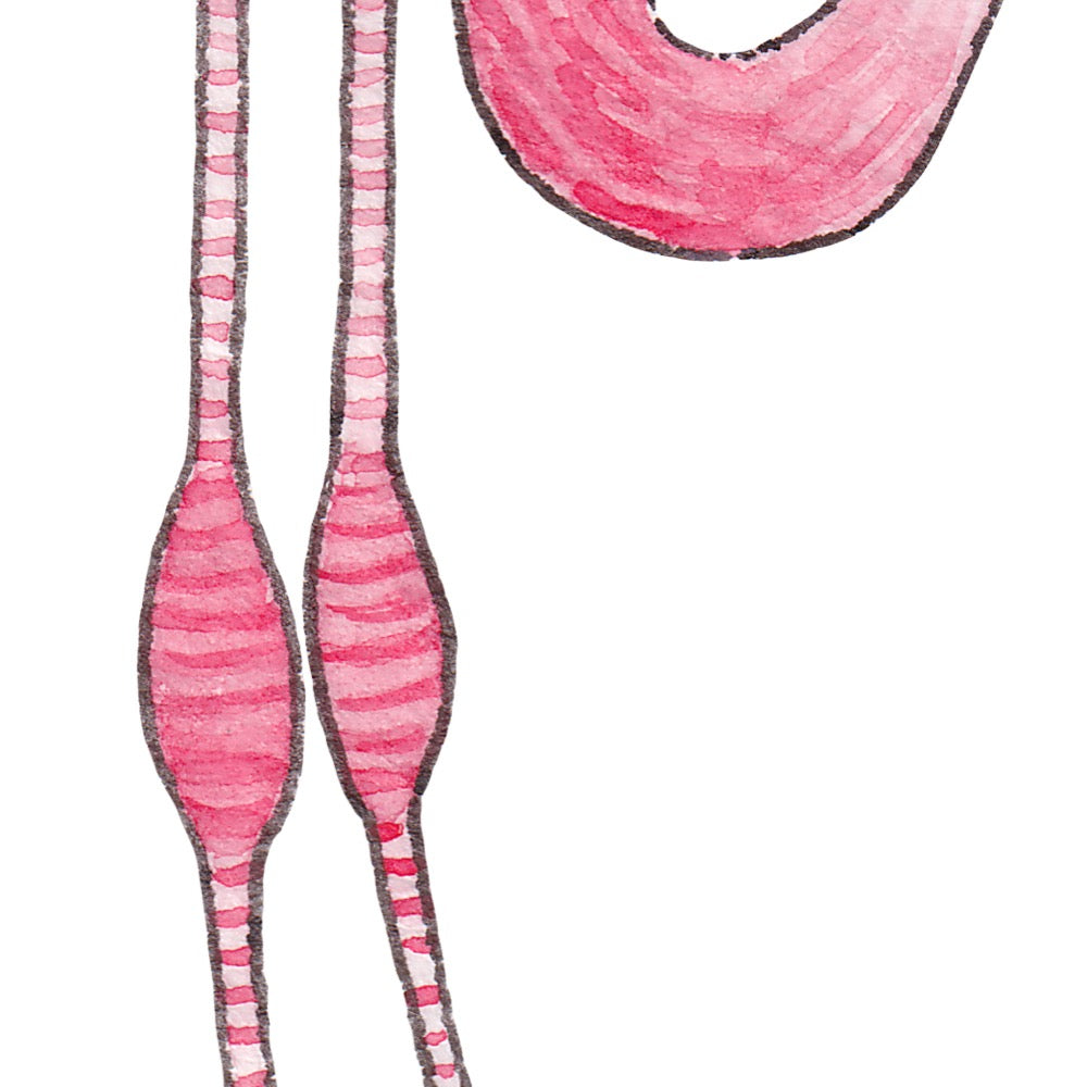 Arwil Art and Design watercolour illustration of a flamingo, with gentle shading and fine line details - cropped to show detail
