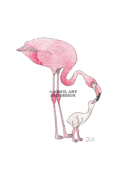 Watercolour illustration of a mother and baby flamingo, with gentle shading and fine line details. Watermark copyright Arwil Art and Design