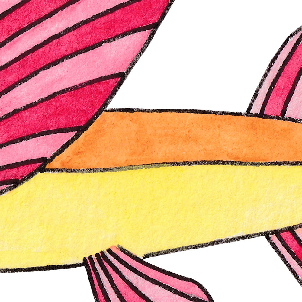 Arwil Art and Design watercolour illustration of a flying fish, with gentle shading and fine line details - cropped to show detail 