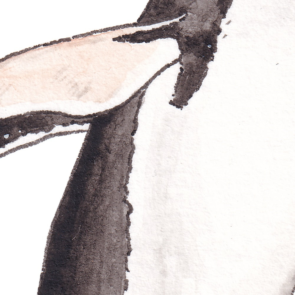 Arwil Art and Design watercolour illustration of a gentoo penguin, with gentle shading and fine line details - cropped to show detail