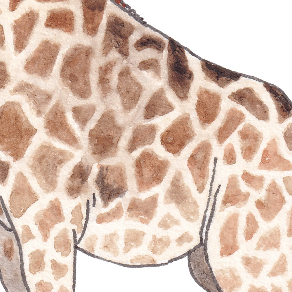 Arwil Art and Design watercolour illustration of a giraffe, with gentle shading and fine line details - cropped to show detail