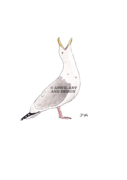 Watercolour illustration of a seagull, with gentle shading and fine line details. Watermark copyright Arwil Art and Design