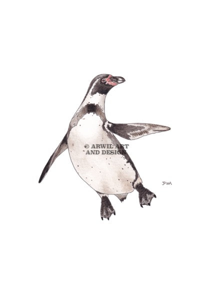 Watercolour illustration of a humboldt penguin, with gentle shading and fine line details. Watermark copyright Arwil Art and Design