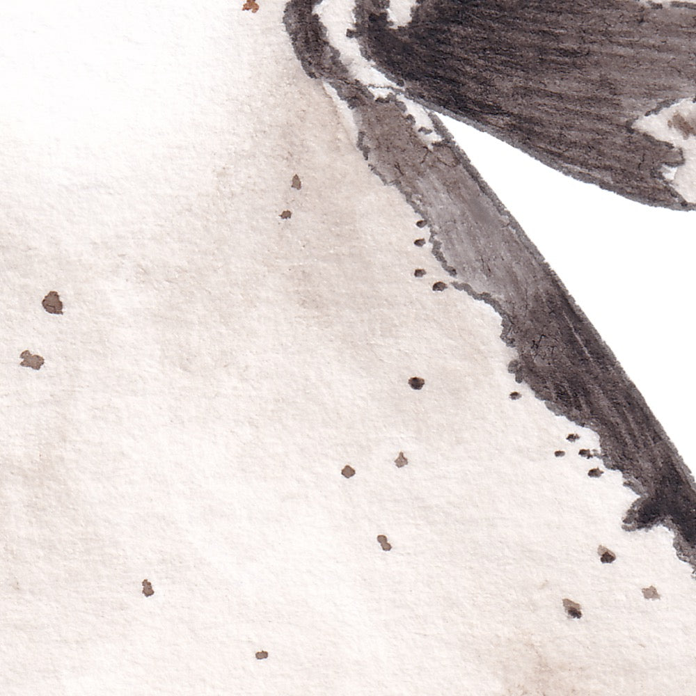 Arwil Art and Design watercolour illustration of a humboldt penguin, with gentle shading and fine line details - cropped to show detail