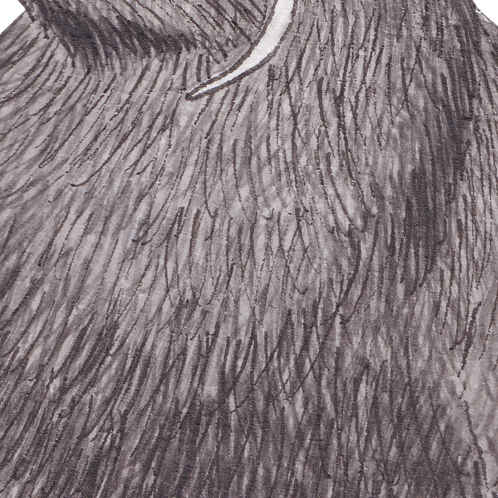 Arwil Art and Design watercolour illustration of an inca tern, with gentle shading and fine line details - cropped to show detail 