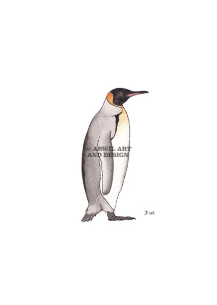 Watercolour illustration of a king penguin, with gentle shading and fine line details. Watermark copyright Arwil Art and Design