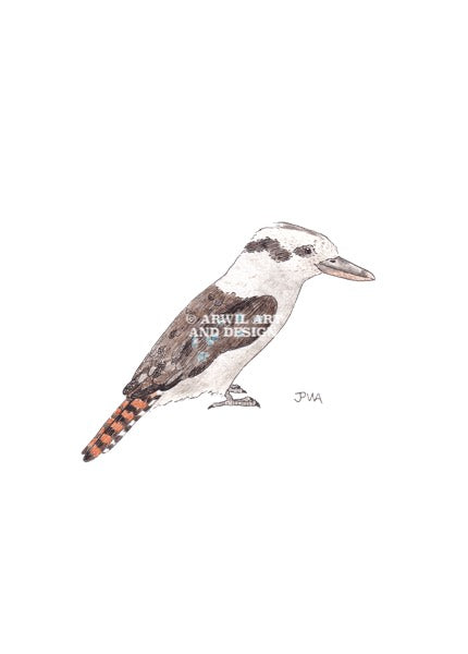 Watercolour illustration of a kookaburra, with gentle shading and fine line details. Watermark copyright Arwil Art and Design