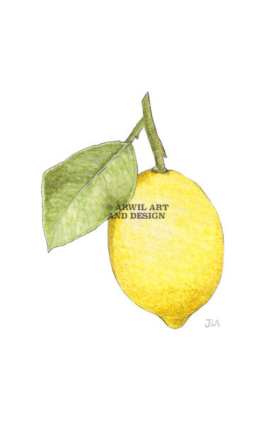 Watercolour illustration of a lemon with leaf, with gentle shading and fine line details. Watermark copyright Arwil Art and Design