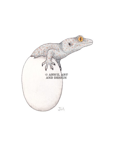 Watercolour illustration of a lizard hatching from an egg, with gentle shading and fine line details. Watermark copyright Arwil Art and Design