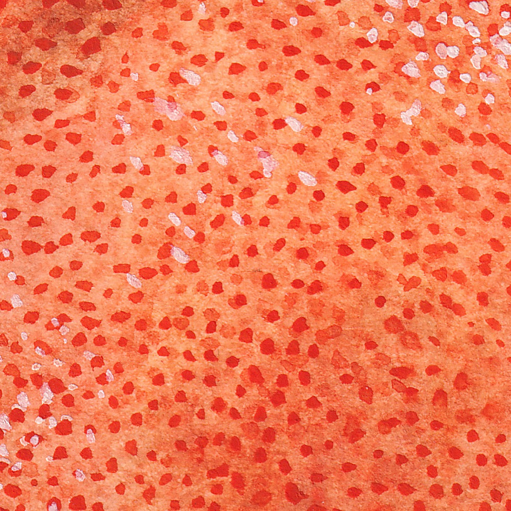 Arwil Art and Design watercolour illustration of a mandarin, with gentle shading and fine line details - cropped to show detail