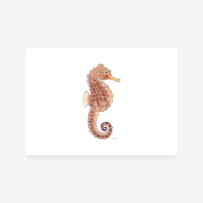 Seahorse Print