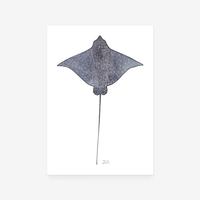 Spotted Eagle Ray Print