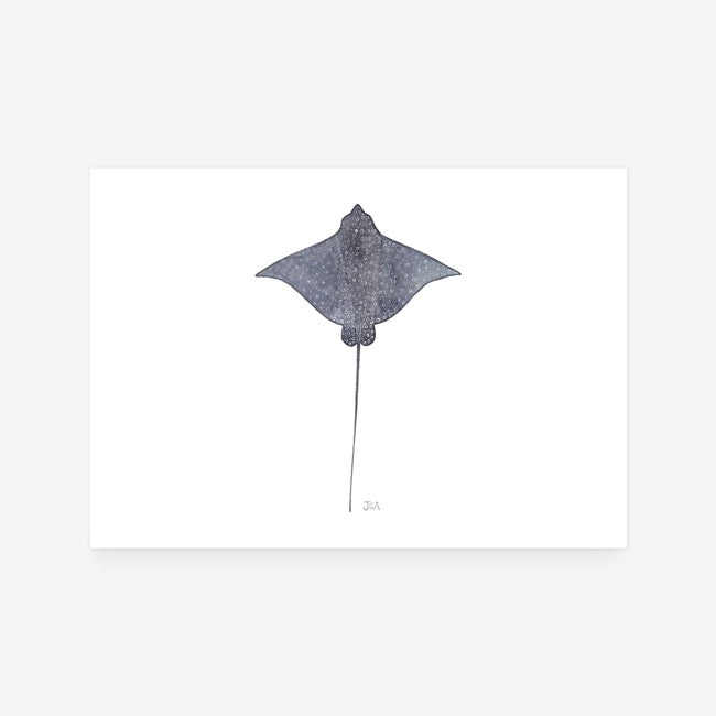 Spotted Eagle Ray Print