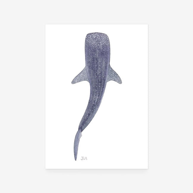 Whale Shark Print