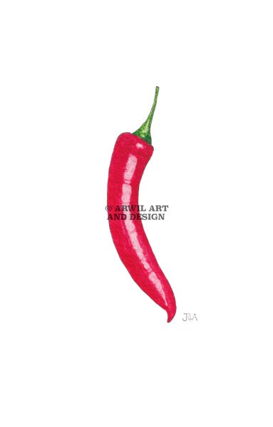 Watercolour illustration of a red chilli, with gentle shading and fine line details. Watermark copyright Arwil Art and Design