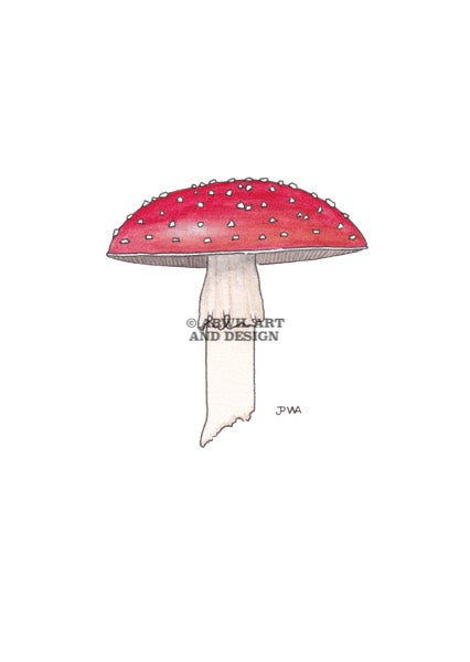Watercolour illustration of a red and white mushroom, with gentle shading and fine line details. Watermark copyright Arwil Art and Design