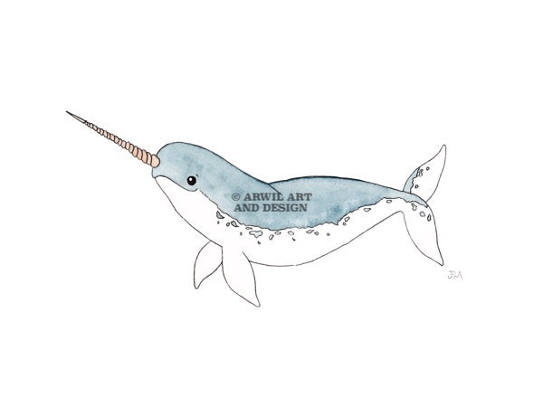 Watercolour illustration of a narwal, with gentle shading and fine line details. Watermark copyright Arwil Art and Design