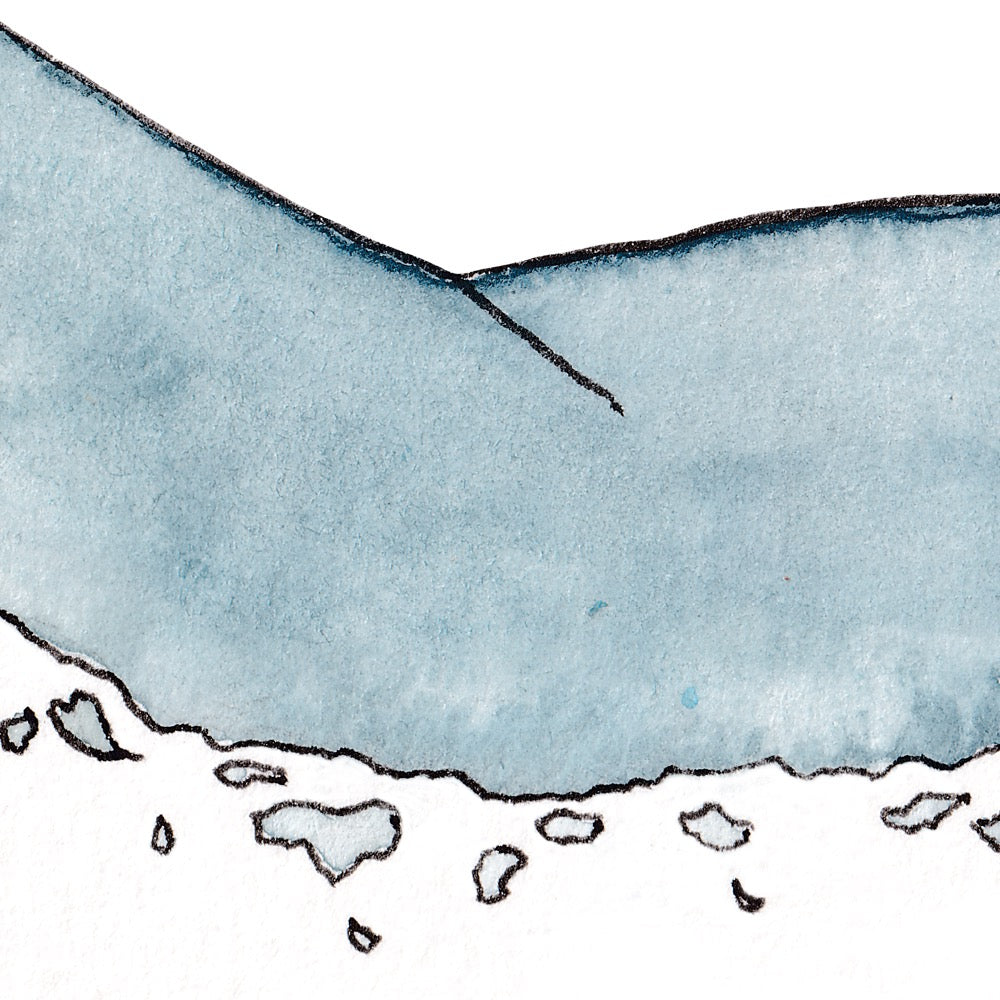 Arwil Art and Design watercolour illustration of a narwhal, with gentle shading and fine line details - cropped to show detail 