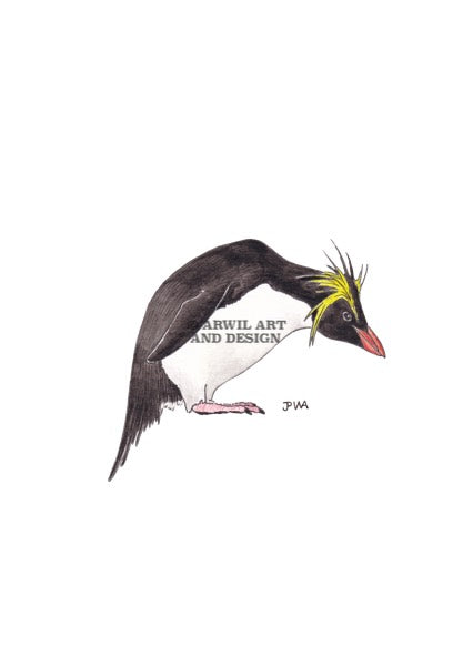 Watercolour illustration of a northern rock hopper penguin, with gentle shading and fine line details. Watermark copyright Arwil Art and Design