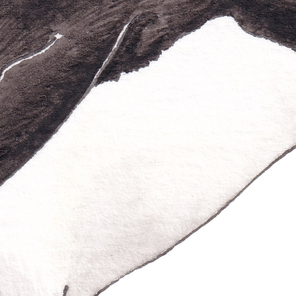 Arwil Art and Design watercolour illustration of a northern rock hopper penguin, with gentle shading and fine line details - cropped to show detail