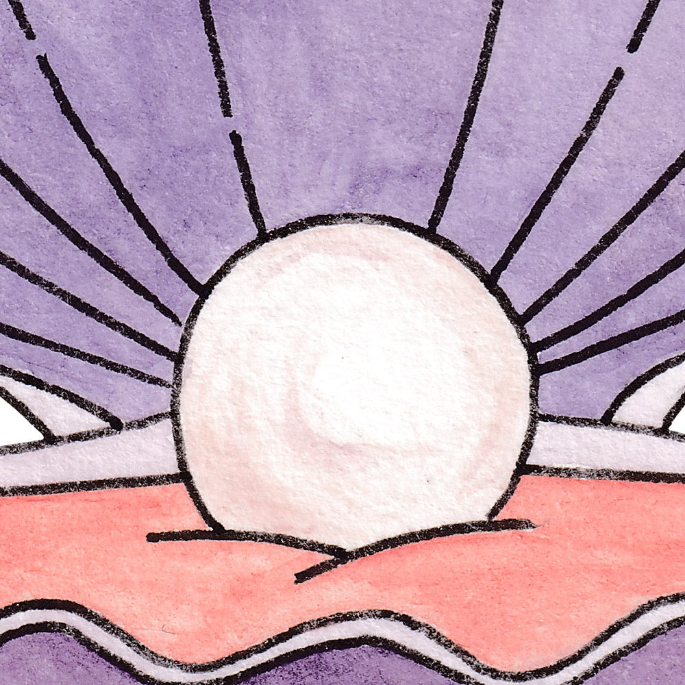Arwil Art and Design watercolour illustration of a pearl shell, with gentle shading and fine line details - cropped to show detail 