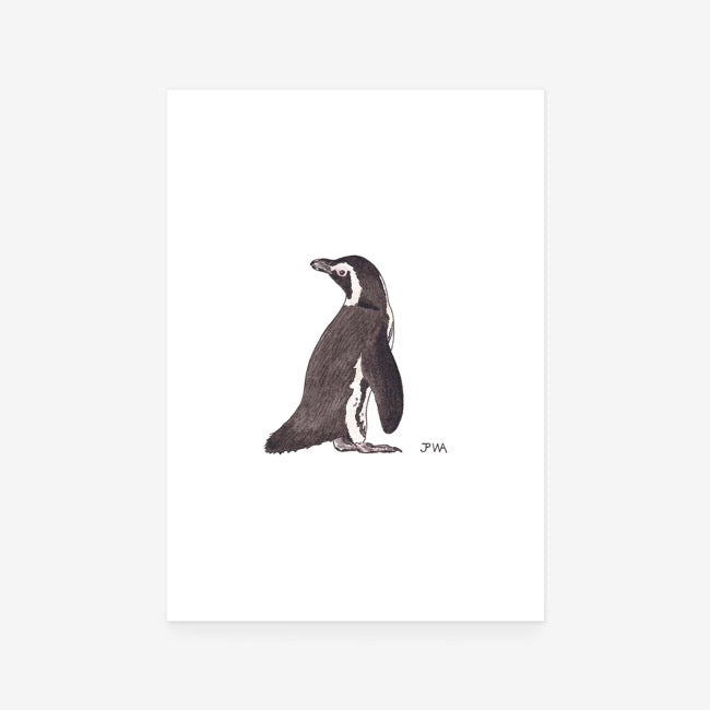 African Penguin Print