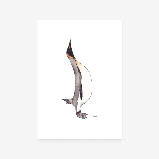 Emperor Penguin Print