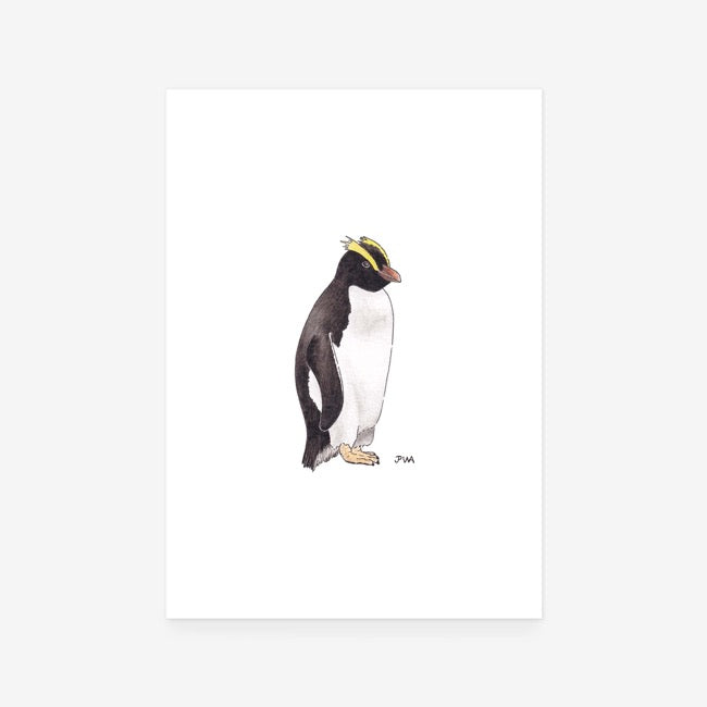 Erect Crested Penguin Print