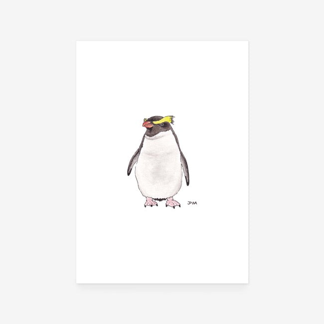 Fiordland Penguin Print