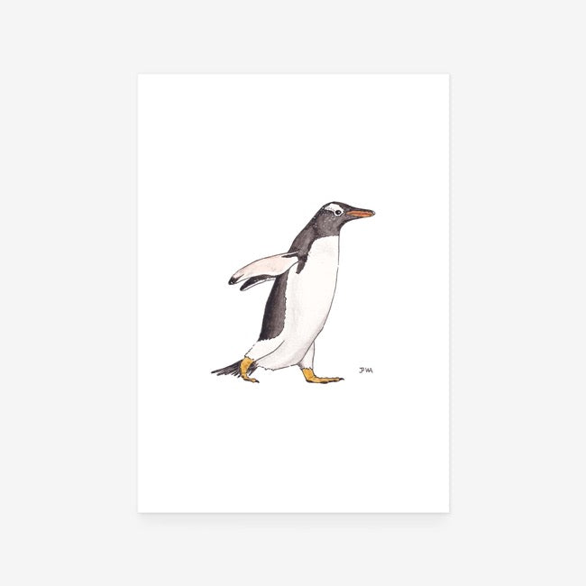 Gentoo Penguin Print