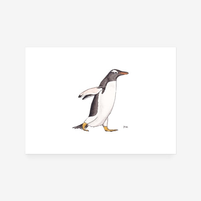 Gentoo Penguin Print