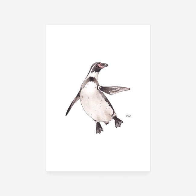 Humboldt Penguin Print