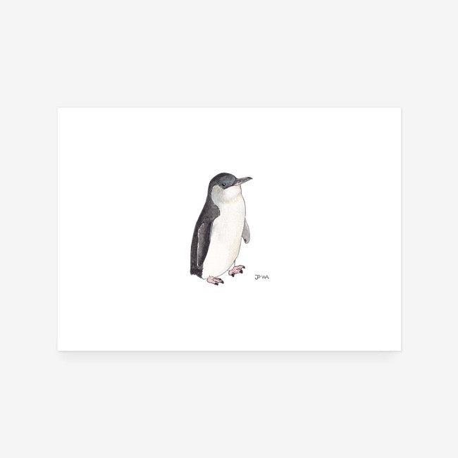 Little Penguin Print