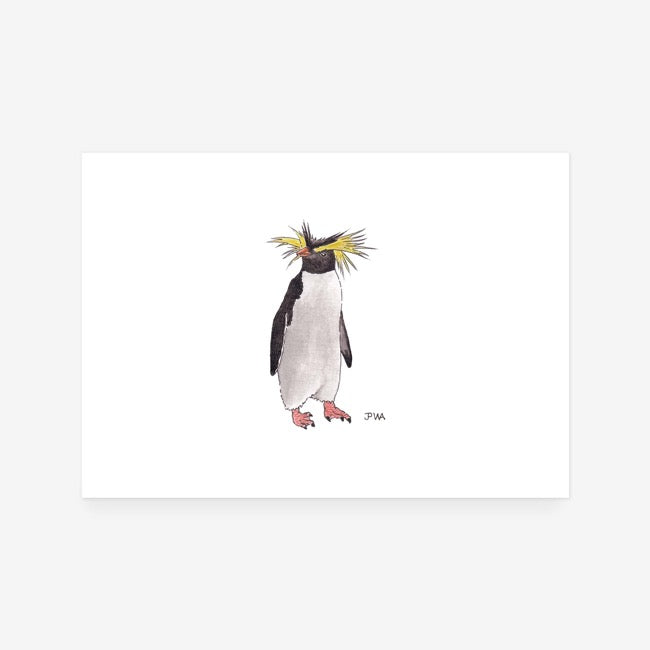 Macaroni Penguin Print