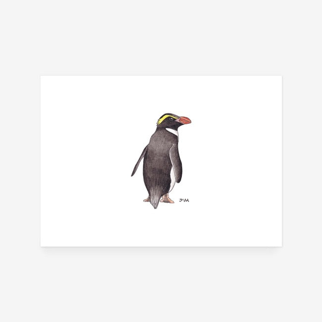 Snares Penguin Print