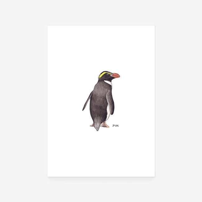 Snares Penguin Print
