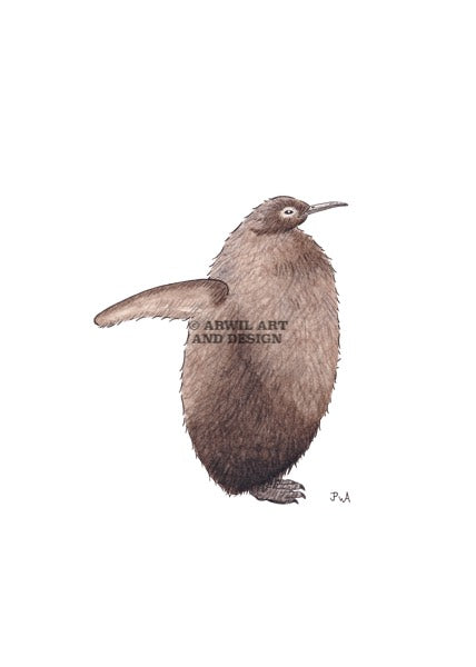 Watercolour illustration of pesto the penguin, with gentle shading and fine line details. Watermark copyright Arwil Art and Design