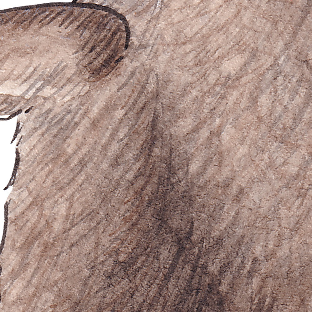 Arwil Art and Design watercolour illustration of pesto the penguin, with gentle shading and fine line details - cropped to show detail