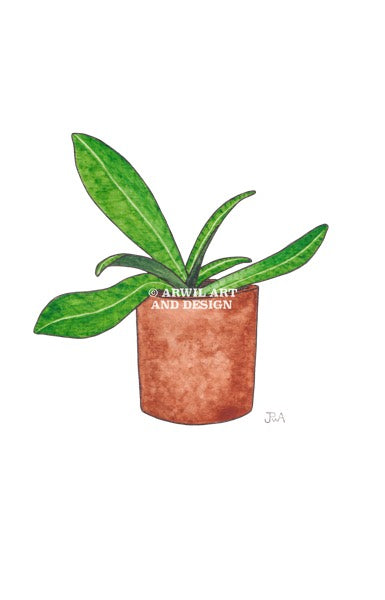 Watercolour illustration of a plant in plant pot, with gentle shading and fine line details. Watermark copyright Arwil Art and Design