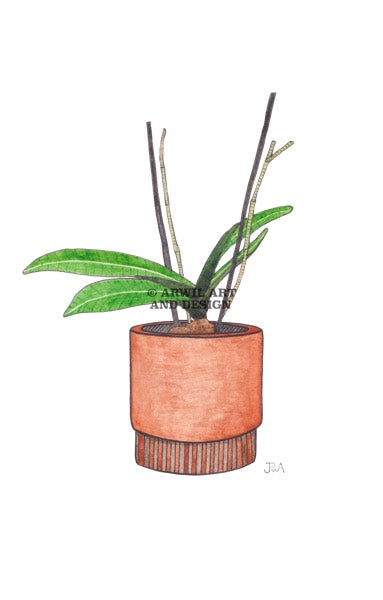 Watercolour illustration of a plant in plant pot, with gentle shading and fine line details. Watermark copyright Arwil Art and Design