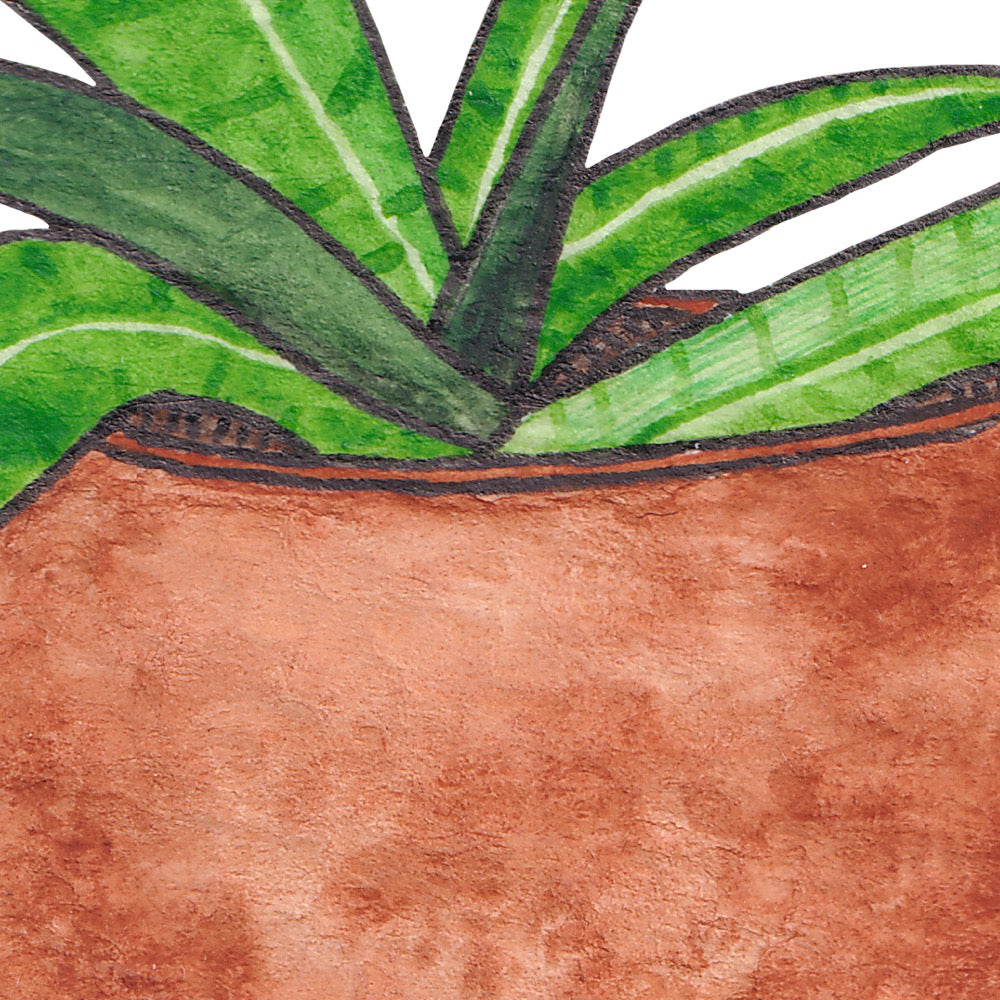 Arwil Art and Design watercolour illustration of a plant in a plant pot, with gentle shading and fine line details - cropped to show detail