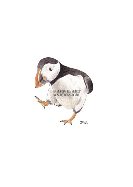 Watercolour illustration of an atlantic puffin, with gentle shading and fine line details. Watermark copyright Arwil Art and Design