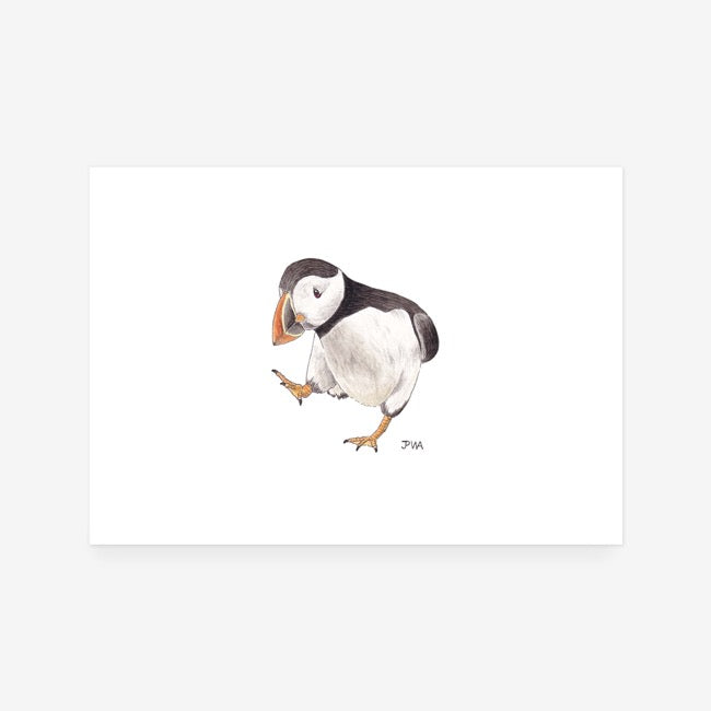 Puffin Print