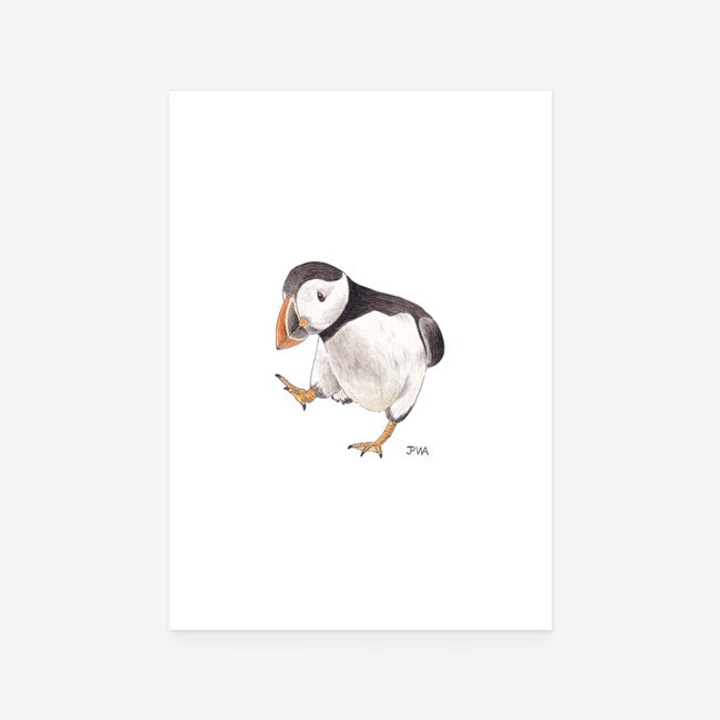 Puffin Print