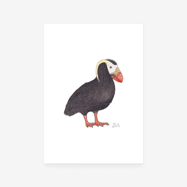 Tufted Puffin Print