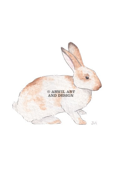 Watercolour illustration of a rabbit, with gentle shading and fine line details. Watermark copyright Arwil Art and Design