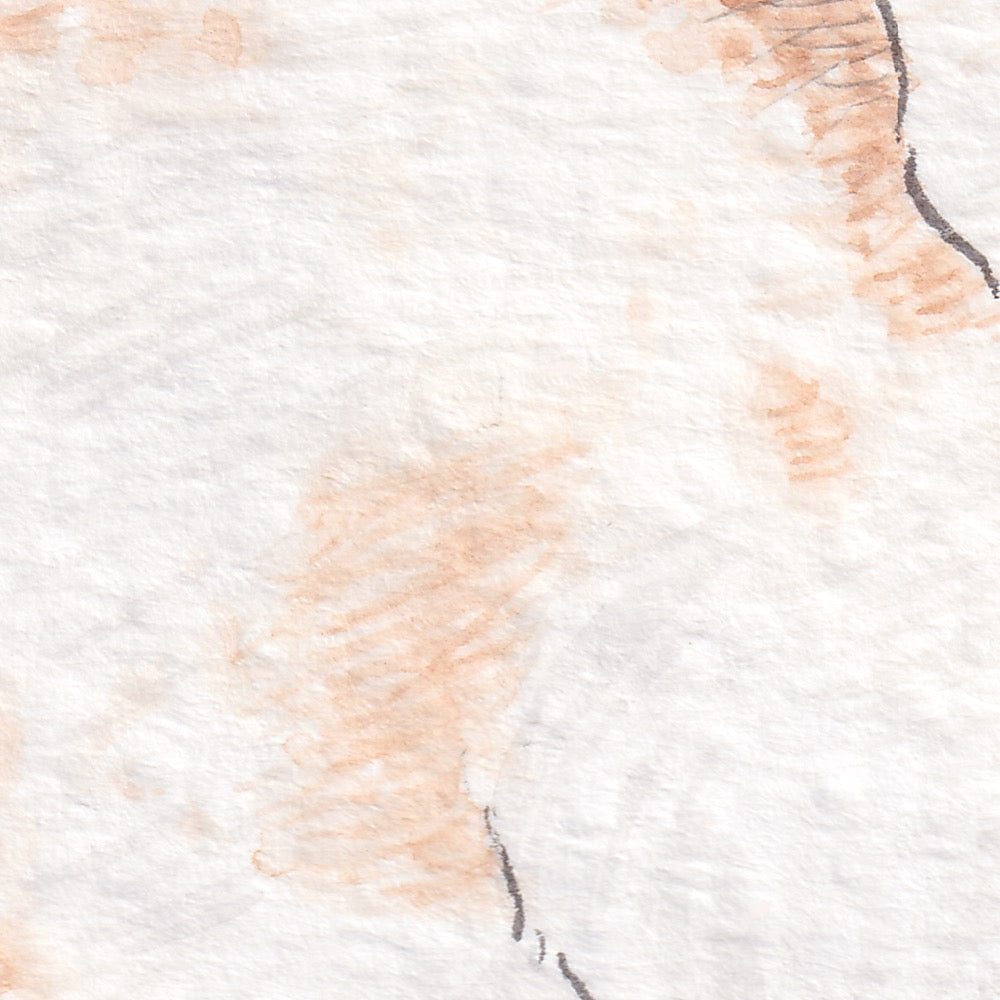 Arwil Art and Design watercolour illustration of a rabbit, with gentle shading and fine line details - cropped to show detail